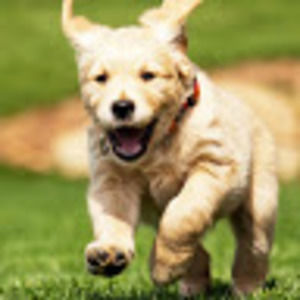 Meet your Posher, Cassie